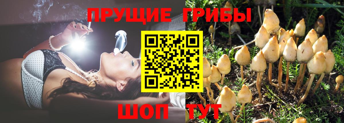 Нарткала  Псилоцибиновые грибы мухоморы  как найти наркотики  Вход с VPN 